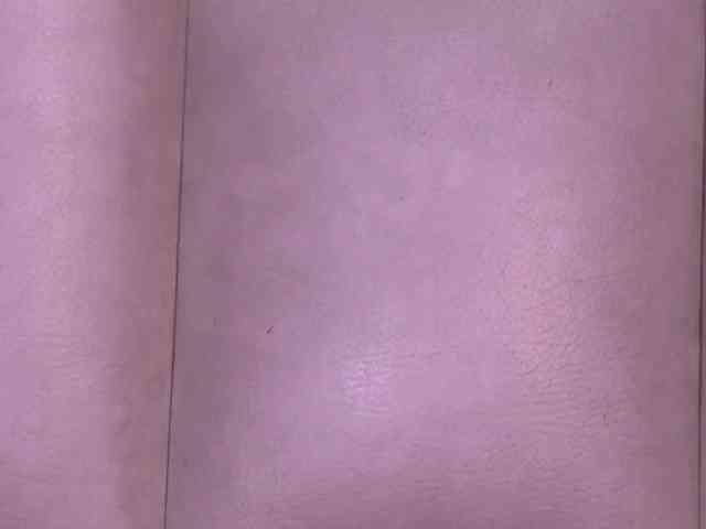 k-rioss webcam