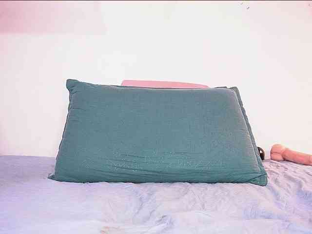 ale-evanz webcam