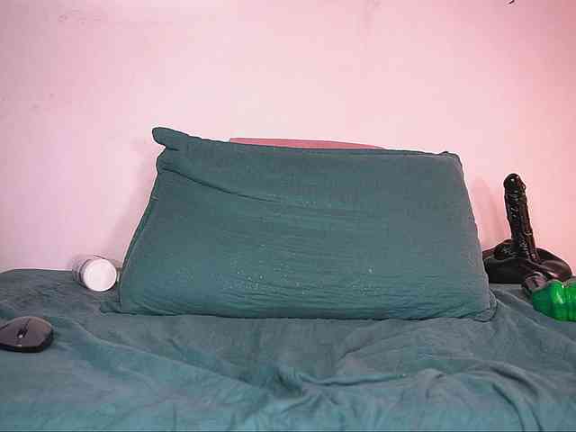 ale-evanz webcam