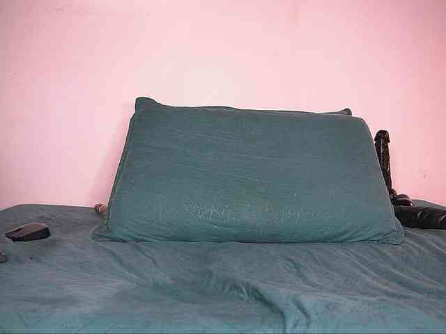 ale-evanz webcam