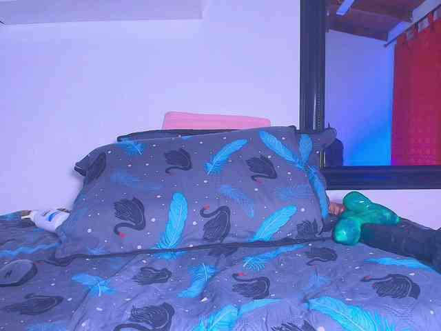 ale-evanz webcam