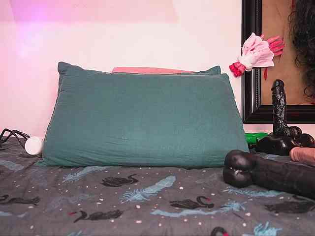 ale-evanz webcam