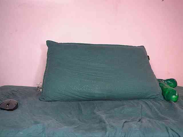 ale-evanz webcam