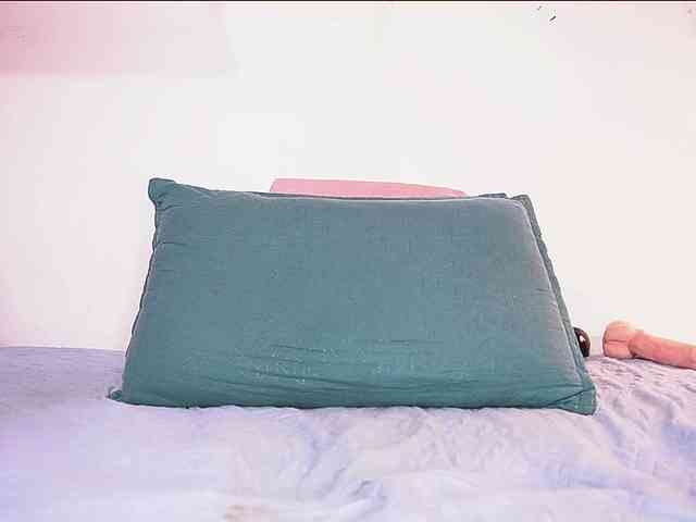 ale-evanz webcam