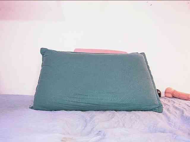ale-evanz webcam