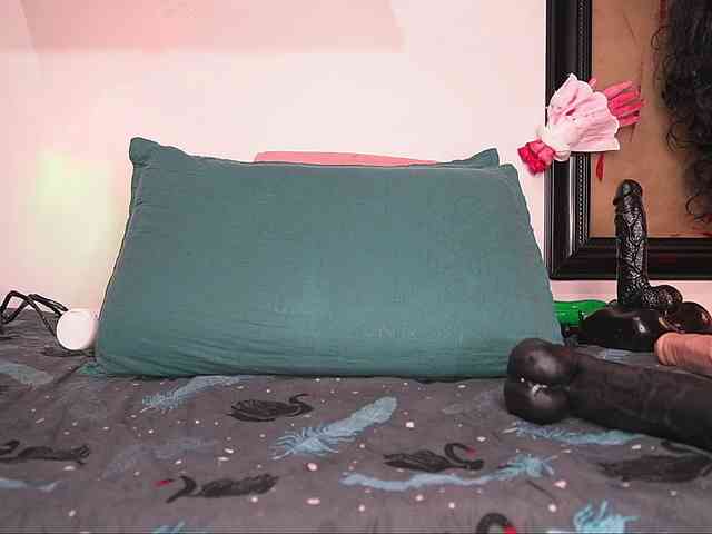 ale-evanz webcam