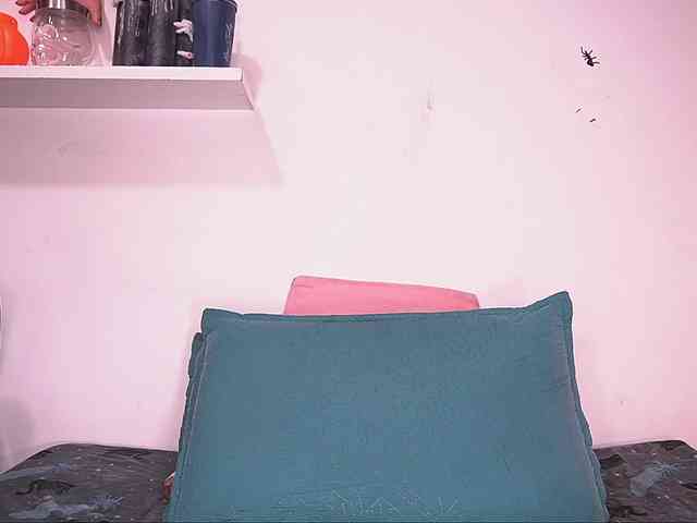 ale-evanz webcam