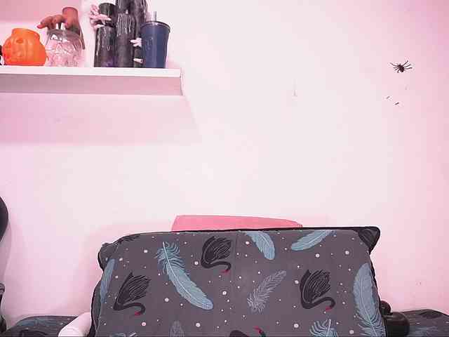 ale-evanz webcam