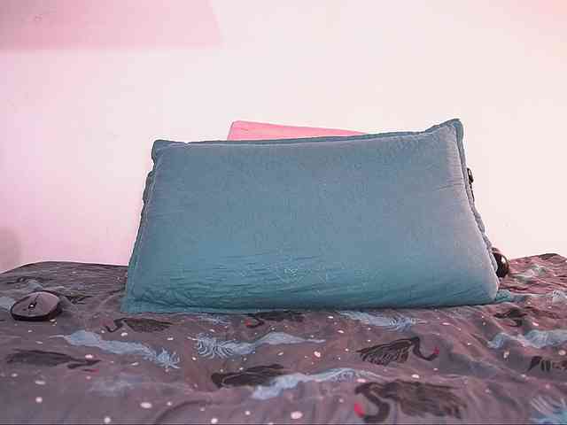ale-evanz webcam