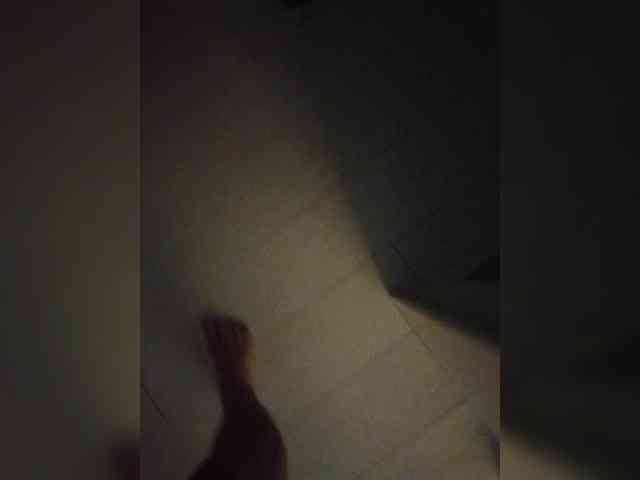 QRYNAMI webcam
