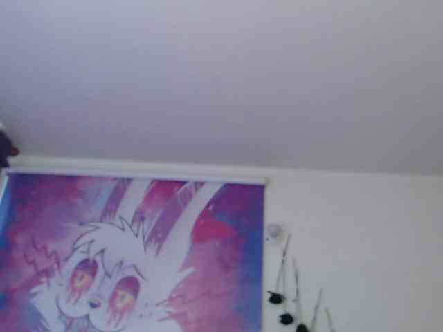 sloppytitss webcam