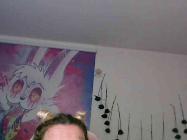 sloppytitss webcam