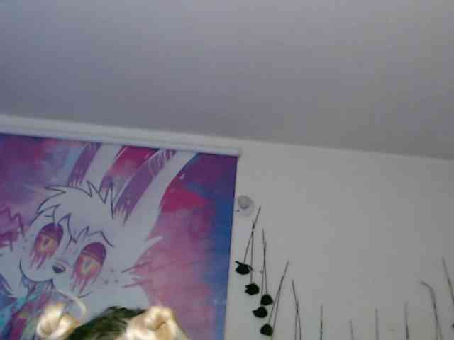 sloppytitss webcam