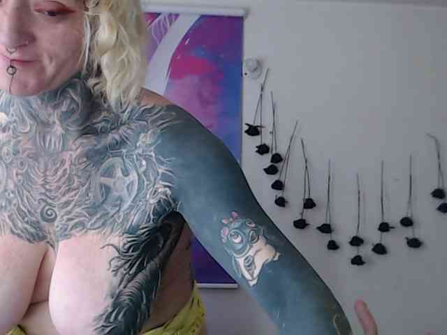 sloppytitss webcam