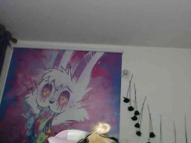 sloppytitss webcam