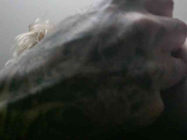 sloppytitss webcam
