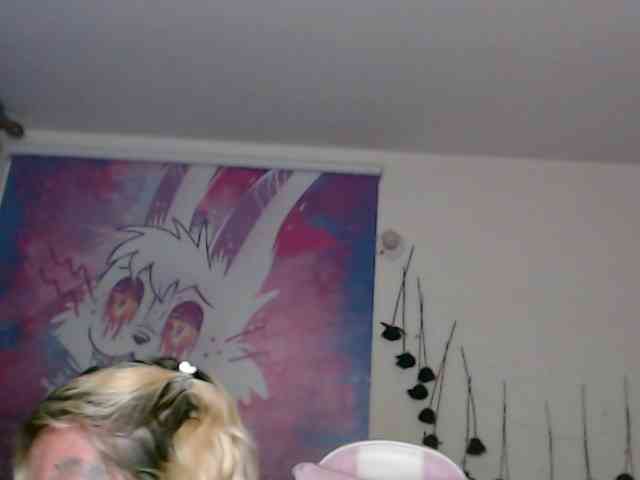 sloppytitss webcam