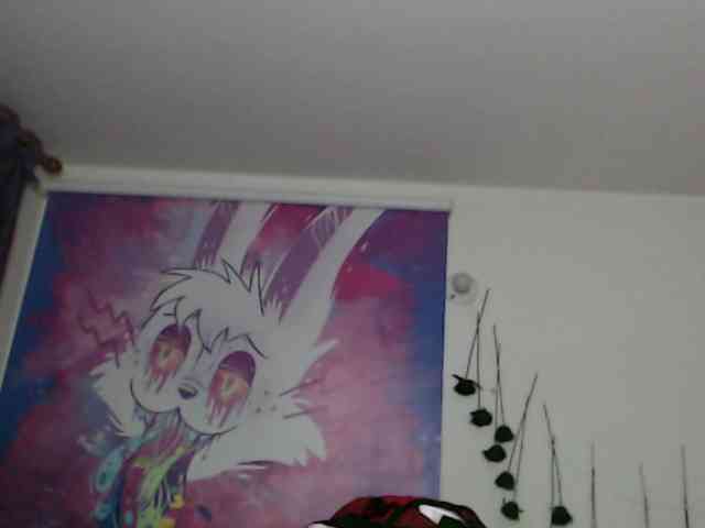 sloppytitss webcam