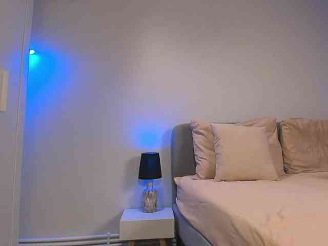 ShySara webcam