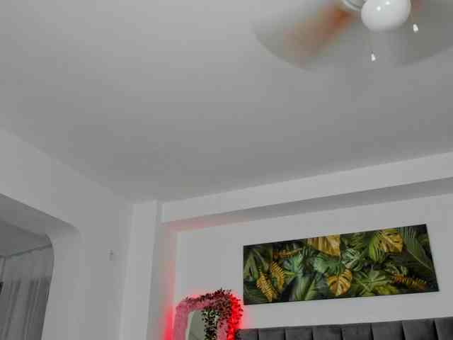 Fancy-t33n webcam