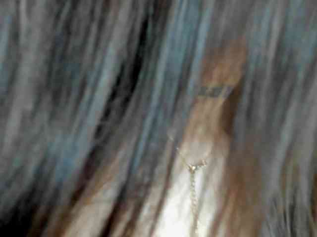 Fancy-t33n webcam