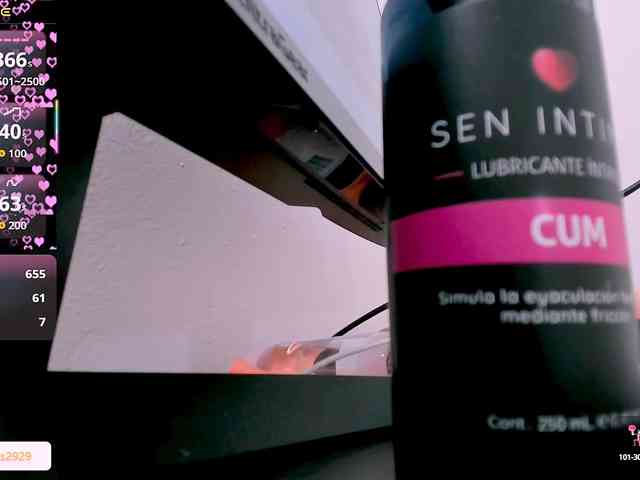 Kate_smith webcam