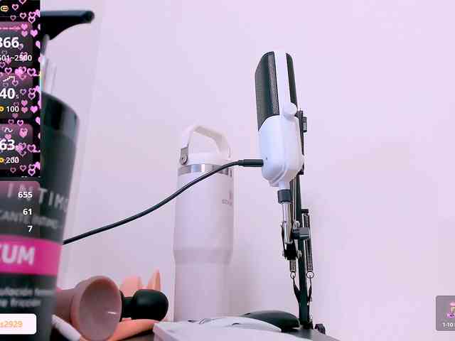 Kate_smith webcam