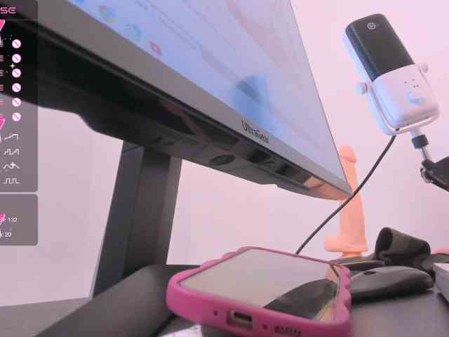 Kate_smith webcam