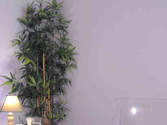 MiriamFoxx webcam