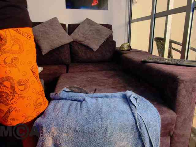 latin-couple77 webcam