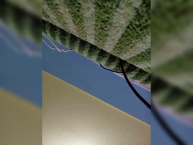 Fox981's BongaCams show and profile