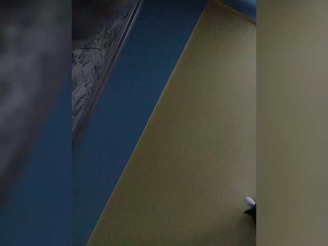 Fox981's BongaCams show and profile