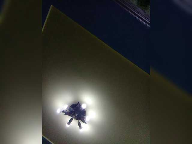 Fox981's BongaCams show and profile