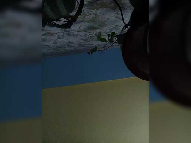 Fox981's BongaCams show and profile