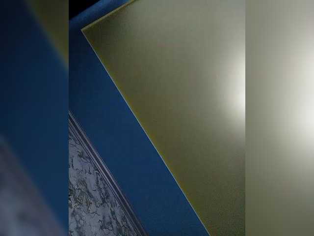 Fox981's BongaCams show and profile