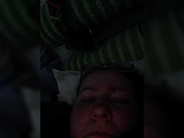 Fox981's BongaCams show and profile