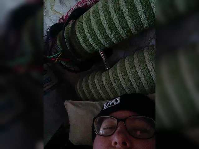 Fox981's BongaCams show and profile