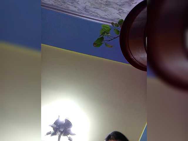 Fox981's BongaCams show and profile