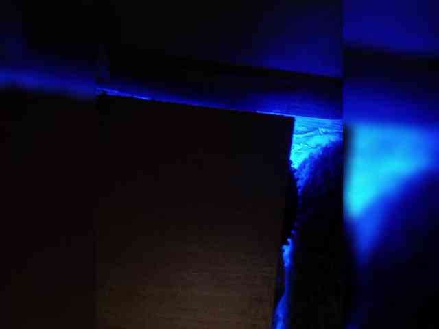 Sokovita webcam