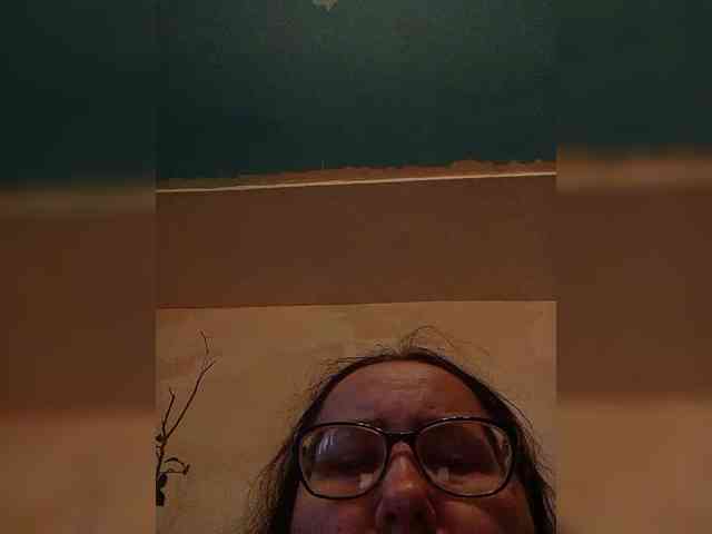 Sokovita webcam
