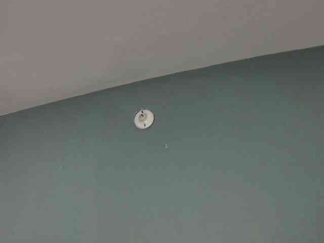 farianachocolatecrememia webcam