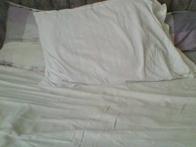 Dizzydose1's BongaCams show and profile