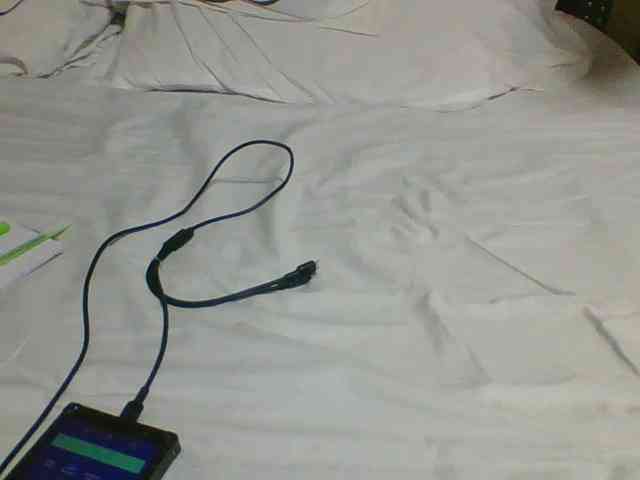 Dizzydose1 webcam