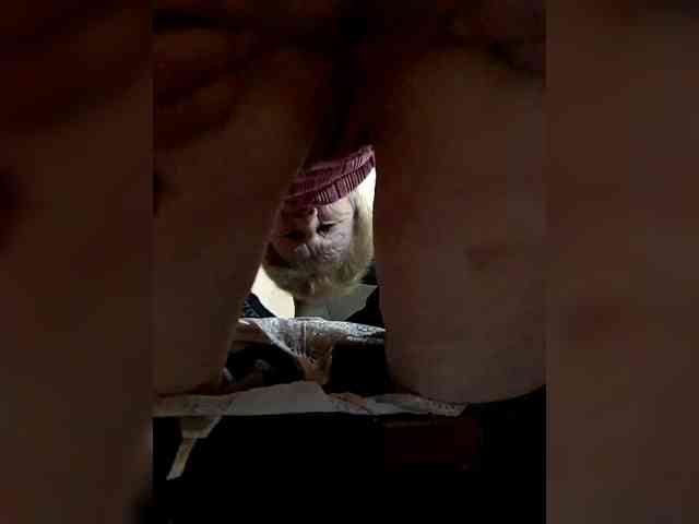 Reife-dame Reife-dame