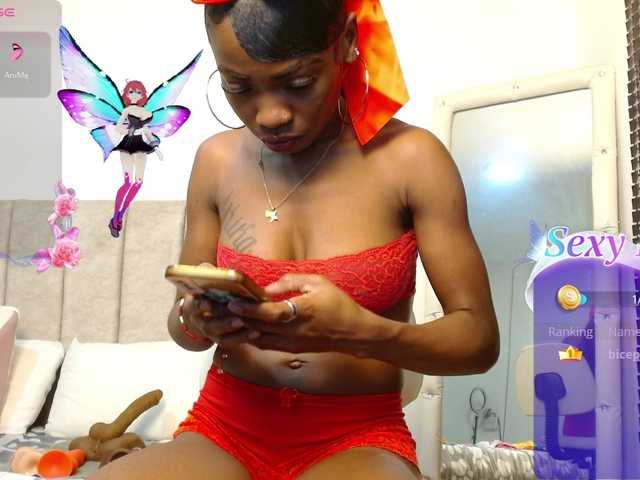 Preview of siara-will