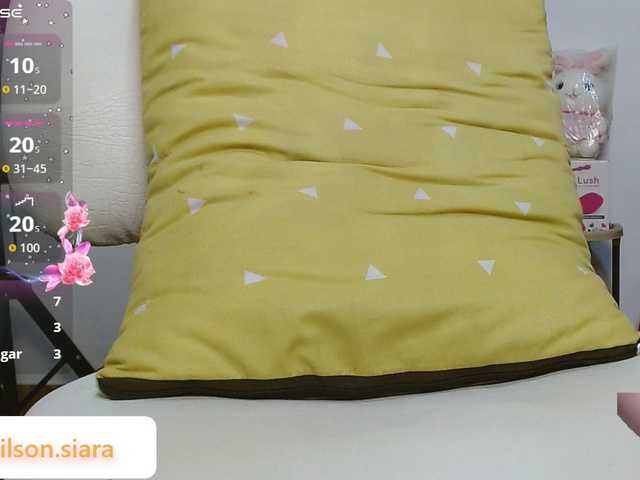 Preview of siara-will