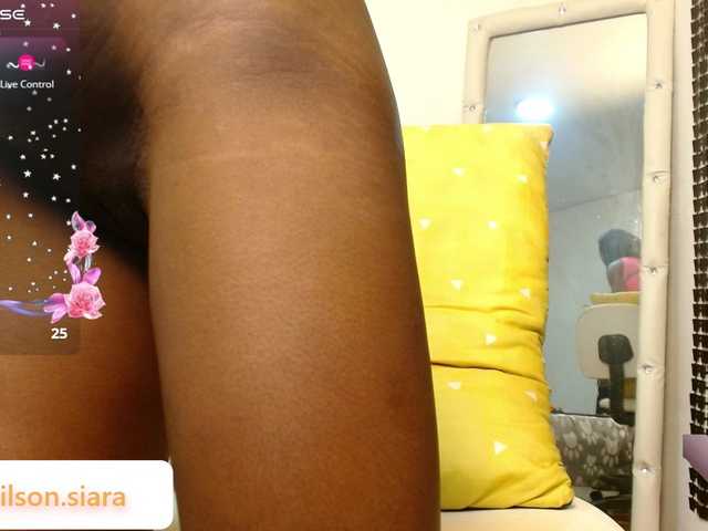 Preview of siara-will