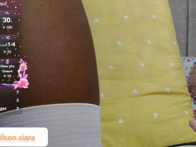 Preview of siara-will