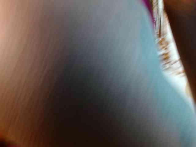 siara-will webcam
