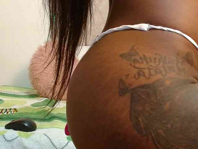siara-will webcam